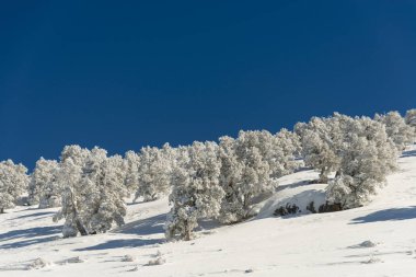 Dağlar karla kaplı. Arka plan için.