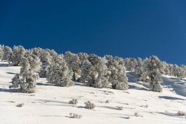 Dağlar karla kaplı. Arka plan için.