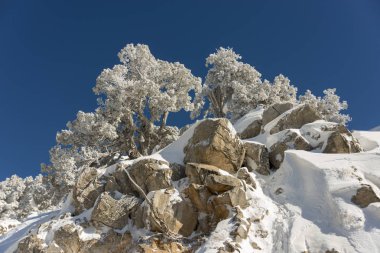 Dağlar karla kaplı. Arka plan için.