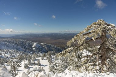 Dağlar karla kaplı. Arka plan için.