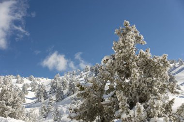 Dağlar karla kaplı. Arka plan için.