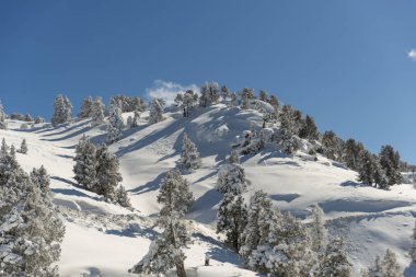 Dağlar karla kaplı. Arka plan için.