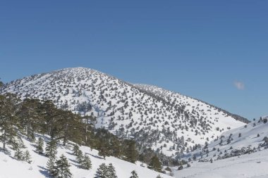 Dağlar karla kaplı. Arka plan için.