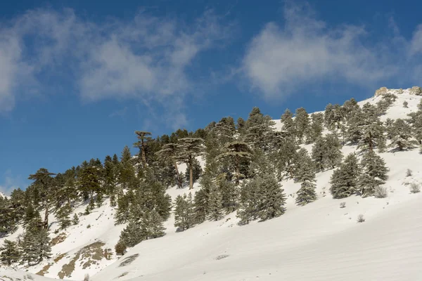 Dağlar karla kaplı. Arka plan için.