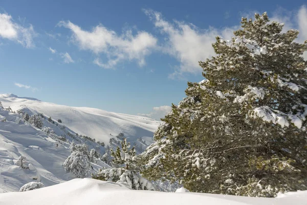 Bergen Bedekt Met Sneeuw Voor Achtergrond — Stockfoto