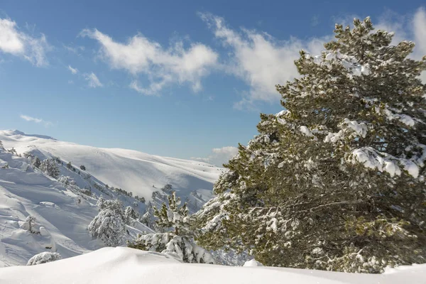 Montanhas Cobertas Por Neve Para Fundo — Fotografia de Stock