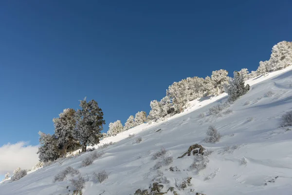 Dağlar karla kaplı. Arka plan için.