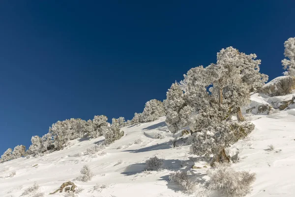 Dağlar karla kaplı. Arka plan için.