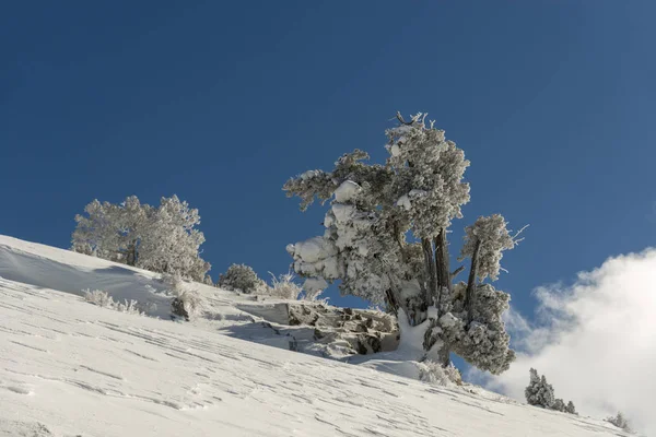 Dağlar karla kaplı. Arka plan için.