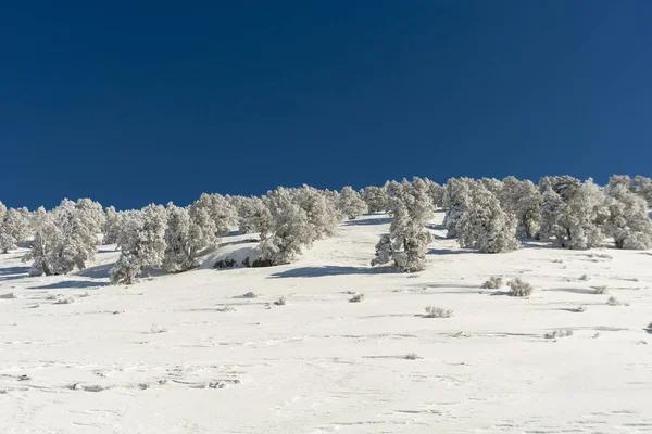 Dağlar karla kaplı. Arka plan için.