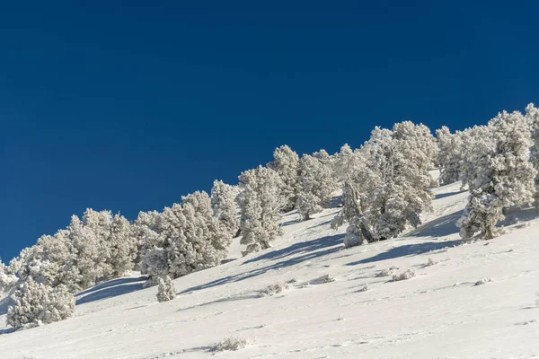 Dağlar karla kaplı. Arka plan için.