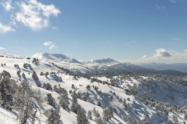 Dağlar karla kaplı. Arka plan için.
