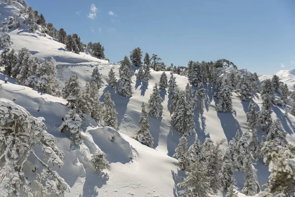 Dağlar karla kaplı. Arka plan için.