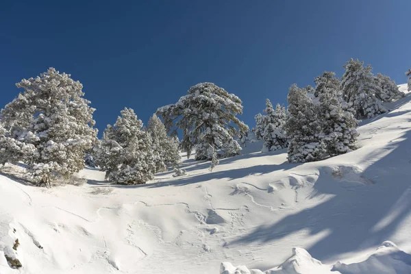 Dağlar karla kaplı. Arka plan için.
