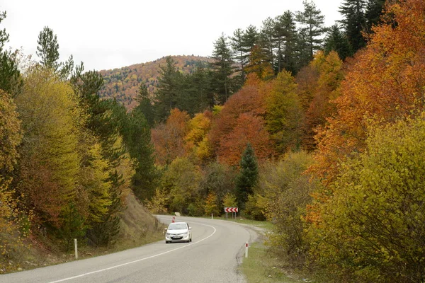 Otoño Parque Nacional Las Montañas Kure Provincia Kastamonu Turquía —  Fotos de Stock