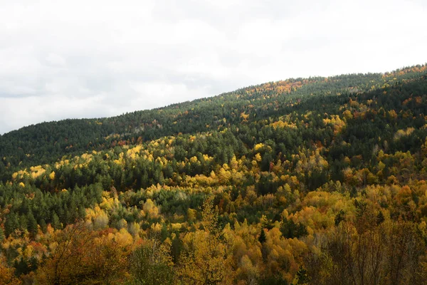 Autmn Kure Mountains National Park Kastamonu Province Turkije — Stockfoto