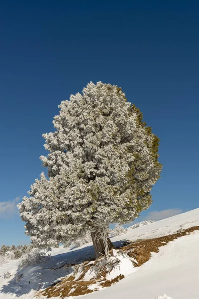 Mountains Covered Snow Background Royalty Free Stock Images