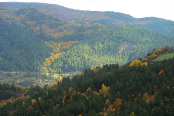 Autmn Kure Mountains Nationalpark Kastamonu Provins Turkiet — Stockfoto