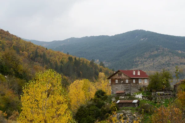 Autmn Národním Parku Kure Mountains Kastamonu Provincii Turecko — Stock fotografie