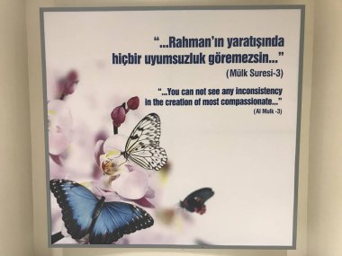 13 Şubat 2019 Konya Türkiye.Konya Tropik Kelebek Bahçesi Avrupa'nın en büyük kelebek uçuş alanına ve Türkiye'de ilke sahip bahçedir.. 