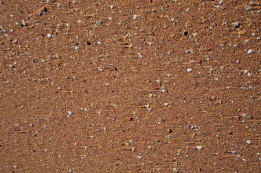 Arka plan için kum detayı.