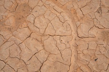 Toprak erozyonu ve doğadan kuraklık.