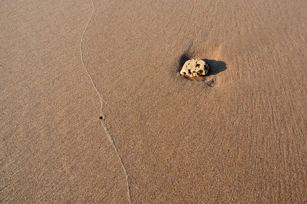 Sand Detail Background — Stock Photo, Image