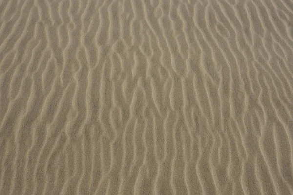 Піщаний Пляж Фону — стокове фото