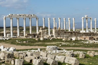 24 Ocak 2015 Denizli.Laodiceia, Daha sonra Roma Eyaleti Frigya Pacatiana'sı olan Karya ve Lidya'nın Helenistik bölgelerinde yer aldı. Şu anda modern Denizli şehrinin yakınında yer almaktadır.