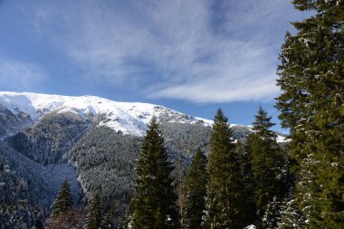 Trabzon ili Maçka ilçesi yaylada kış mevsimi. Türkiye.