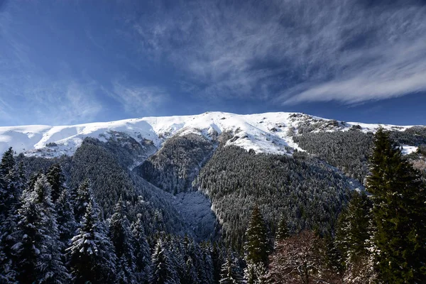 Winter Het Plateau Van Macka District Provincie Trabzon Turkije — Stockfoto