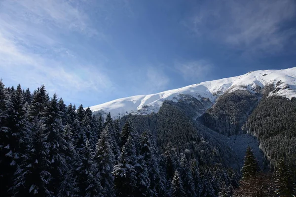 Winter Auf Dem Plateau Von Makka Bezirk Der Provinz Trabzon — Stockfoto