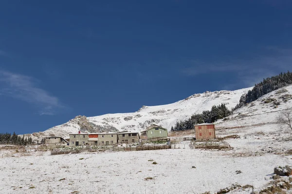 Winter Het Plateau Van Macka District Provincie Trabzon Turkije — Stockfoto