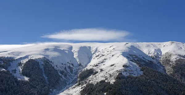 Inverno Planalto Distrito Macka Província Trabzon Turquia — Fotografia de Stock