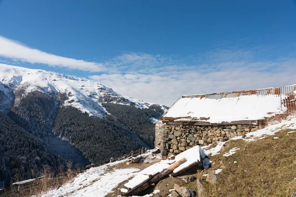 Winter Het Plateau Van Macka District Provincie Trabzon Turkije — Stockfoto