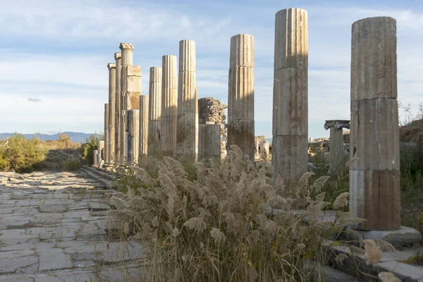 Oude Site Van Magnesia Meander Gelegen Van Efeze Van Miletus — Stockfoto