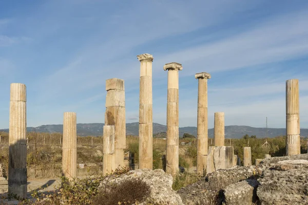 Oude Site Van Magnesia Meander Gelegen Van Efeze Van Miletus — Stockfoto