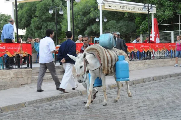 マルディンはトルコ南東部の都市です マルディン州の首都 それはその旧市街のアルトゥキッド建築のために知られており その戦略的な場所のために — ストック写真