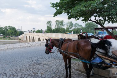 29 Haziran 2013 Edirne Türkiye.Edirne'de Meriç Nehri Üzerindeki Meriç Köprüsü.