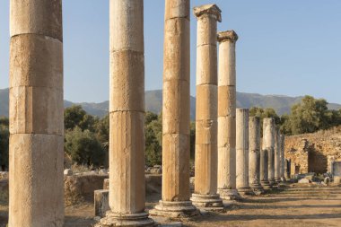 Maeander üzerinde Antik Nysa Ege'nin derin vadilerinde gizli Karya gerçek bir mücevher. Önemli bir Karya merkezi olan antik kent, bölgenin kuzeyinde, İyonkenti Efes'in 50 kilometre doğusunda yer alıyordu. Bugün, bir iyi-p