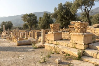 Maeander üzerinde Antik Nysa Ege'nin derin vadilerinde gizli Karya gerçek bir mücevher. Önemli bir Karya merkezi olan antik kent, bölgenin kuzeyinde, İyonkenti Efes'in 50 kilometre doğusunda yer alıyordu. Bugün, bir iyi-p