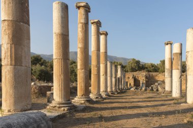 Maeander üzerinde Antik Nysa Ege'nin derin vadilerinde gizli Karya gerçek bir mücevher. Önemli bir Karya merkezi olan antik kent, bölgenin kuzeyinde, İyonkenti Efes'in 50 kilometre doğusunda yer alıyordu. Bugün, bir iyi-p