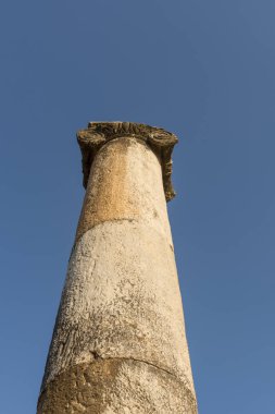 Maeander üzerinde Antik Nysa Ege'nin derin vadilerinde gizli Karya gerçek bir mücevher. Önemli bir Karya merkezi olan antik kent, bölgenin kuzeyinde, İyonkenti Efes'in 50 kilometre doğusunda yer alıyordu. Bugün, bir iyi-p