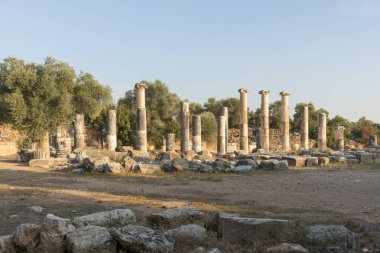 Maeander üzerinde Antik Nysa Ege'nin derin vadilerinde gizli Karya gerçek bir mücevher. Önemli bir Karya merkezi olan antik kent, bölgenin kuzeyinde, İyonkenti Efes'in 50 kilometre doğusunda yer alıyordu. Bugün, bir iyi-p