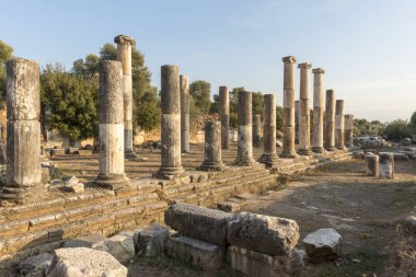 Maeander üzerinde Antik Nysa Ege'nin derin vadilerinde gizli Karya gerçek bir mücevher. Önemli bir Karya merkezi olan antik kent, bölgenin kuzeyinde, İyonkenti Efes'in 50 kilometre doğusunda yer alıyordu. Bugün, bir iyi-p