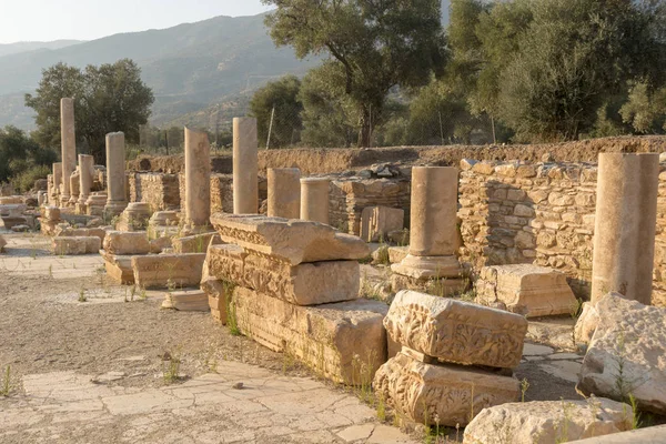 Ancient Nysa on the Maeander is a true gem of Caria hidden in the deep valleys of the Aegean. An important Carian centre, the ancient city was located in the north of the region, 50 kilometres east of the Ionian city of Ephesus. Today, it is a well-p