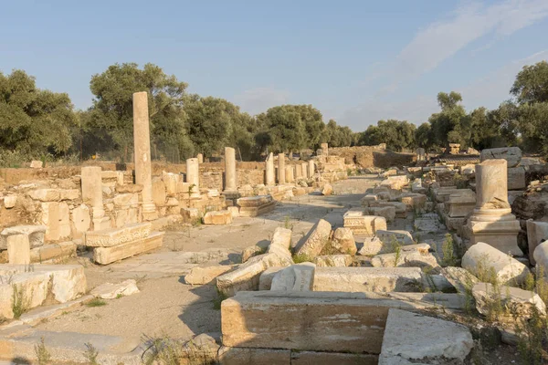 Antica Nysa Sul Maeandro Vero Gioiello Della Caria Nascosto Nelle — Foto Stock