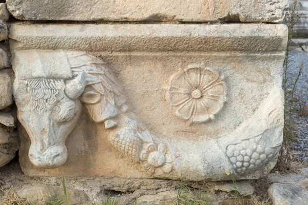 古老的奈萨在Maeander是一个真正的宝石的卡利亚隐藏在爱琴海的深谷 作为重要的卡里安中心 古城位于该地区北部 距爱奥尼亚市埃弗索斯以东 这是一个井 — 图库照片