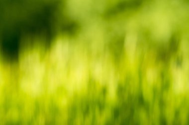 Doğa odak noktası değil.