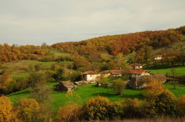 Kırklareli ili Demirköy ilçesikarlık köyü.